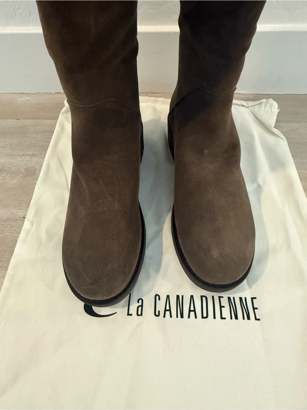 La Canadienne NWT Cecile Knee High Suede Waterproof Boots Stone Oiled Suede
